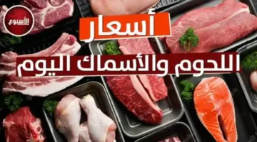 الكبدة البلدي بـ 400 جنيه.. أسعار اللحوم اليوم الخميس 4 يونيو 2026
